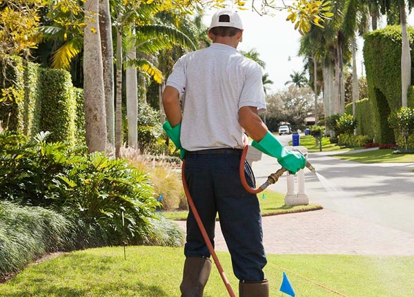 About Fowlstown GA Pest Control Pros